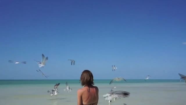Voyage playa del carmen смотреть онлайн