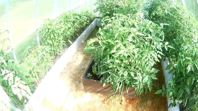 Огород смотреть онлайн