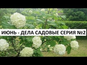 Июнь - дела садовые №2