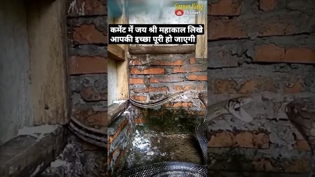 jai mahakal 🙏🙏🙏🙏 смотреть онлайн