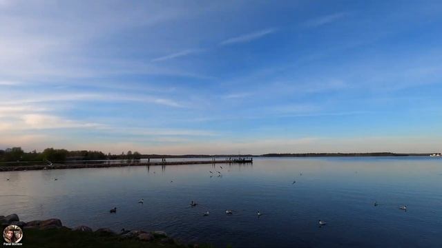 Приехали в город Валдай, вечер на набережной. Поляна сказок Валдай 2024 #валдай #наблюдениезаптицам смотреть онлайн