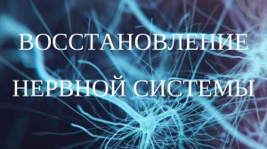 Восстановление нервной системы