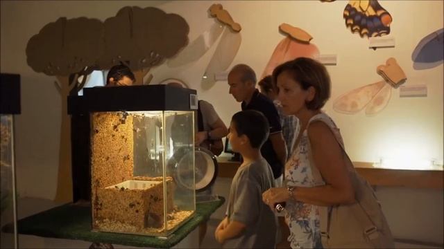 La Casa delle Farfalle di Cervia смотреть онлайн