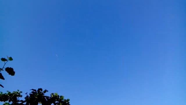 Полёт . пермских голубей . смотреть онлайн