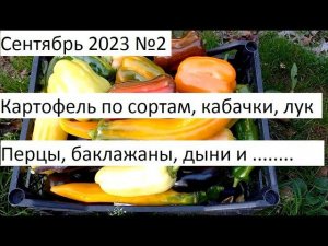 Сентябрь 2023 №2 Урожай в природном земледелии.