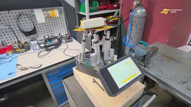 Cognitive Pilot смотреть онлайн