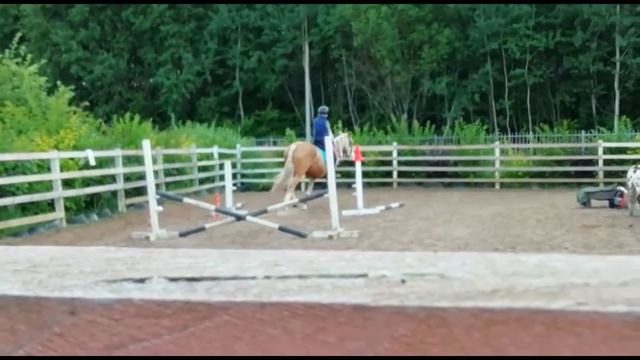 Прыжки на Сангрии 2 часть. Horse Vlog#4 (1080HD) смотреть онлайн