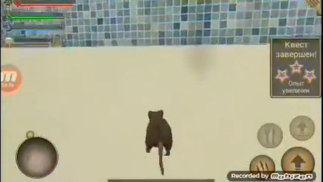 Симулятор мыши смотреть онлайн