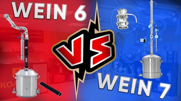 Wein 6 или Wein 7. Что выбрать? В чём отличие?