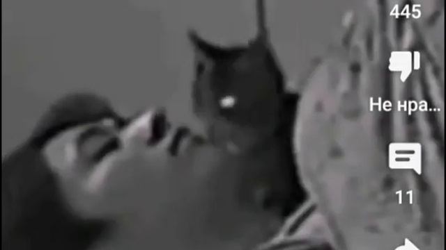 Минхо и кот😂😂😂#минхо#коты смотреть онлайн