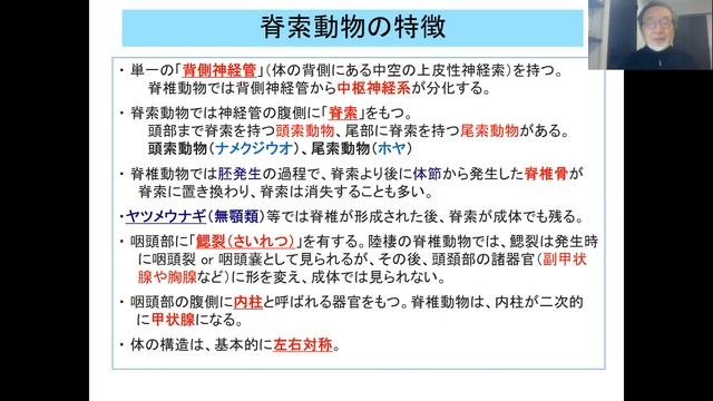 生物進化5の１脊索動物 edit смотреть онлайн