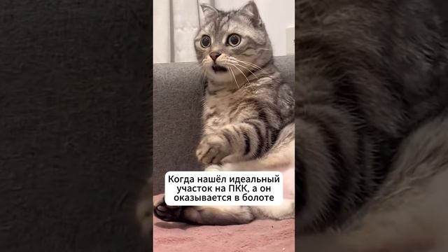 Пу-пу-пу... Как сэкономить на земле: https://zemlya007.ru/vebinar?utm_med смотреть онлайн