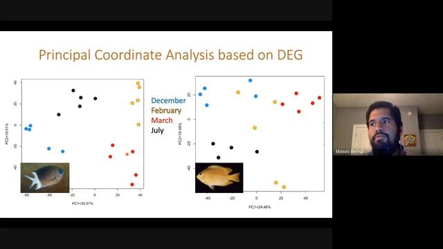 IBSS Seminar Series, Ep. 9: Marine Fishes & Climate Change" | California Academy of Sciences смотреть онлайн