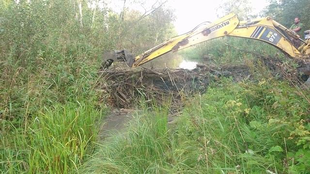 beaver dam romoval vol 2 смотреть онлайн