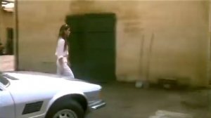 Укрощение строптивого (1980)