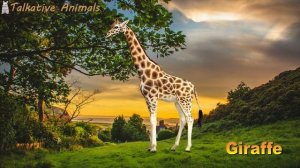 Learn Names And Sounds of Zoo Animals for Children in English