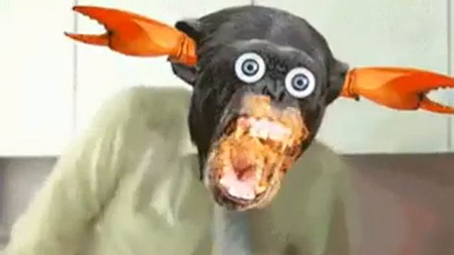 КОГДА У ЖЕНЫ РУКИ НЕ ИЗ ПЛЕЧ !!! смотреть онлайн