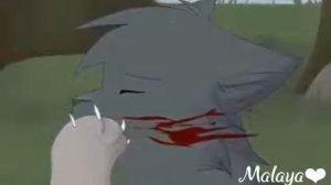 Коты воители- песня востань(skilet)