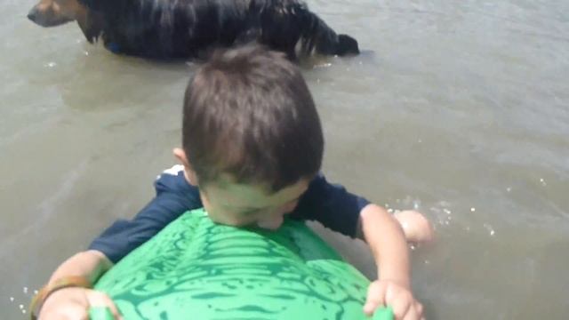 Colorado Gator Wrestling смотреть онлайн