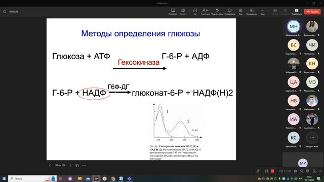Биохимия. Патохимия СД часть 2 смотреть онлайн