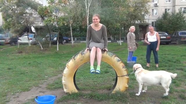 ALS ice bucket challenge Anastasia Zelentsova смотреть онлайн