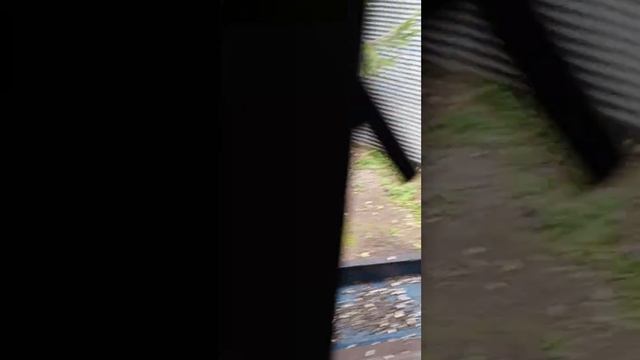 ужин только начинается.Карта на корм бельчатам 2202 2062 6013 7323. смотреть онлайн