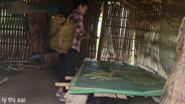 FULL VIDEO : 150 days of harvesting ginger and green vegetables to the market | Lý Thị Sai