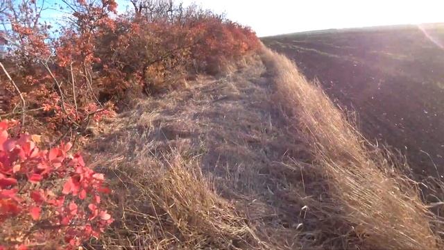 Охота с ИЖ-27М