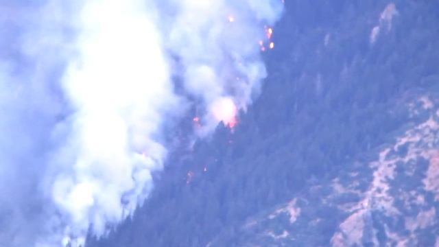 Quail Fire Telephoto Compilation смотреть онлайн