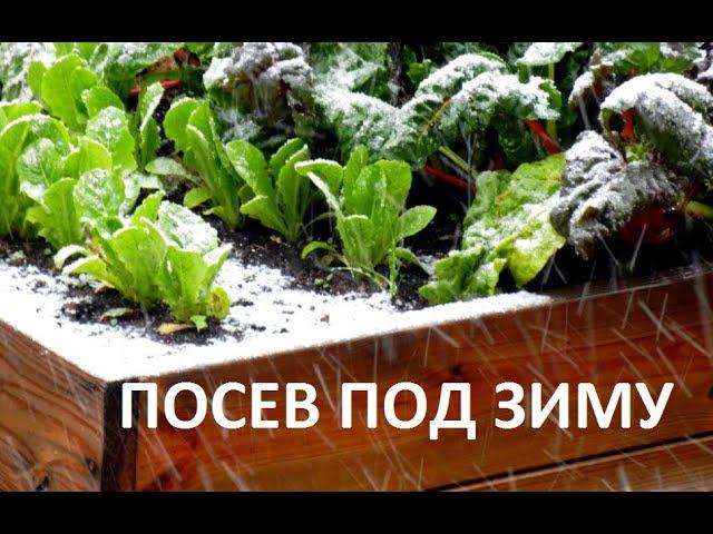 Посев под зиму. смотреть онлайн