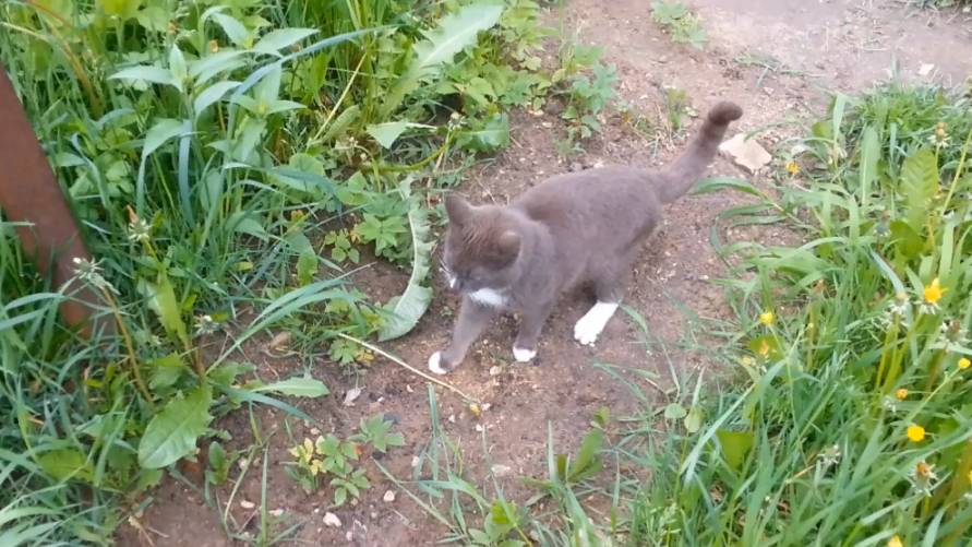 Любовь смотреть онлайн