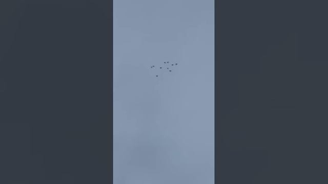 Голуби.Евгения.снова.в.небе.красава.так.держать.огонь!!! смотреть онлайн