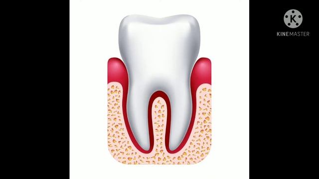 TUSHDA TİSH KO'RSA NİMA BO'LADİ?