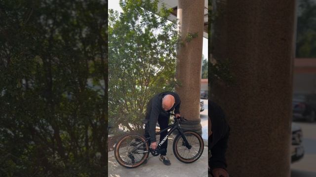 HAGEN TEEN PRO CARBON🚲 смотреть онлайн