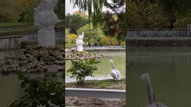 Парк Дендрарий нижний смотреть онлайн