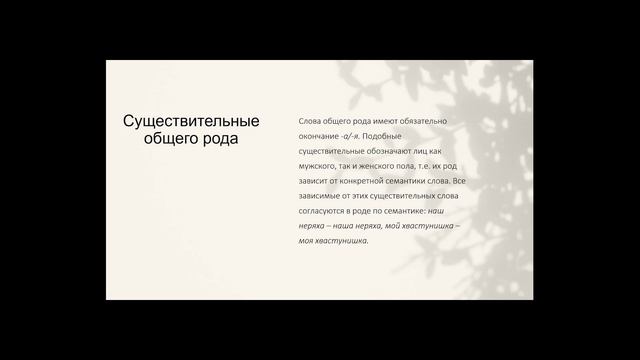 Морфология Имя существительное смотреть онлайн