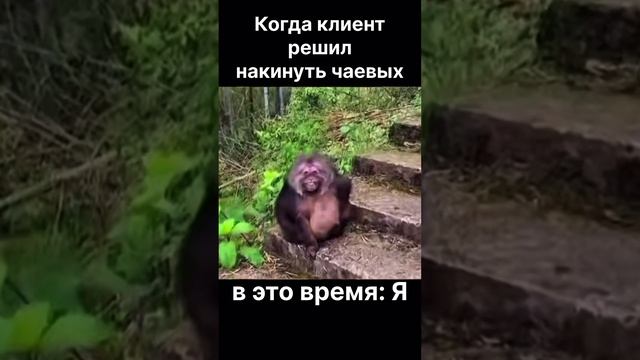 клиент дает чаевые - я смотреть онлайн