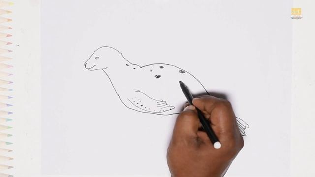 Leopard Seal Drawings | Leopard Seal Art Video | How To Draw Leopard Seal Step By Step |Seal Drawin