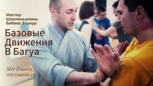 Базовые движения в багуа