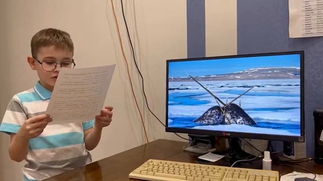 Нарвал кит единорог смотреть онлайн
