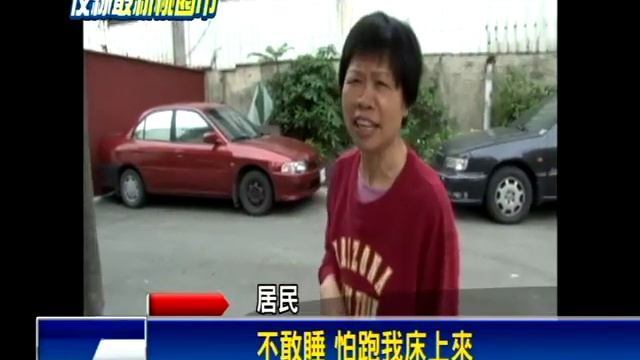 蟲蟲危機! 上萬「馬陸」侵平鎮民宅－民視新聞 смотреть онлайн