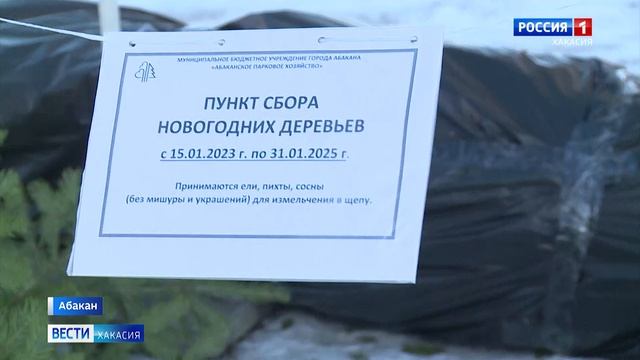 Утилизировать новогодние ёлки можно с пользой смотреть онлайн