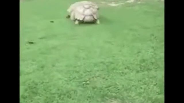 Я скучаю по тебе смотреть онлайн