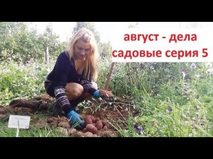 Август - дела садовые серия № 5