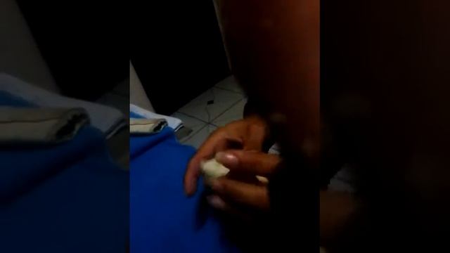 Patiria смотреть онлайн