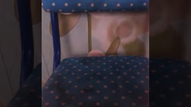 Собачка тимон и игрушки смотреть онлайн