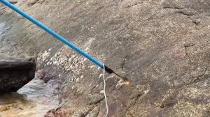 ✅Высое напряжение и ТУАЛЕТ ⚡️☠️ Что будет, если пустить электро дугу в МОРЕ КРЕОСАН