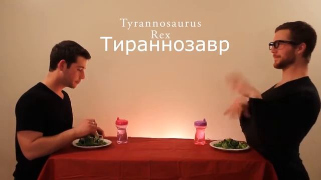 Как едят животные! Я долго смеялся! смотреть онлайн