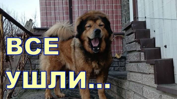 ВСЕ УШЛИ 😮💨