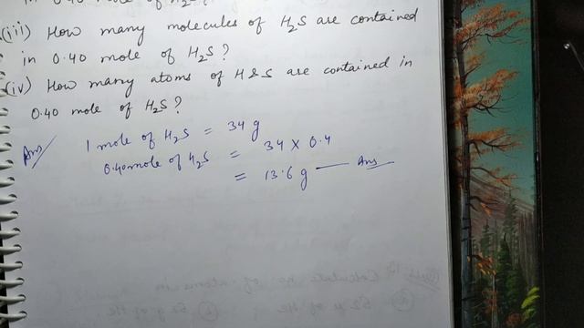 Numericals - Class XI - Ch 1 - Some Basic Concepts of Chemistry Part 9/14 by Lorika Ma'am смотреть онлайн